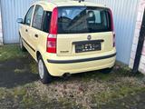 Fiat Panda 1.1 Benzin - 54PS - EZ 04/2009 ... - Fiat Panda in Hagen