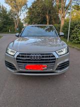 Audi Q5 50 TFSI e S tronic quattro sport S-Line Pano  - Audi Q5 mit Hybrid-Antrieb: Grau, Head-Up Display