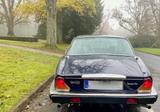 Jaguar Daimler Double Six komplett überholt  - Jaguar Daimler: Six Double