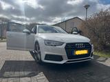 Audi S4 3.0 TFSI tiptronic quattro Avant - - Audi S4: Weiß