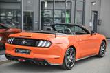 Ford Mustang Cabrio 2.3 EcoBoost 55-Paket* 4-Rohr* - : Cabrio, 55