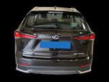 Lexus NX 300 300h E-Four Pack Business - Lexus aus 2021