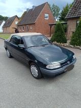 Opel Astra F 2.0 Cabrio - Bertone - Opel Astra: Cabrio, F Bertone