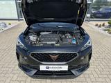 Cupra Formentor 2.0 TSI DSG VZ 4Drive*BEATS*AHK*ACC* - Cupra Formentor in Braunschweig