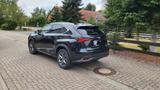 Lexus NX 300 h Sport Line Hybrid  - Lexus NX-Serie von privat