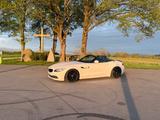 BMW Z4 2.3 *e89*eisenmann* - BMW Z4: E89