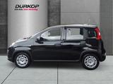 Fiat Panda City Paket el. Spiegel Parkpilot Klimaanla - Fiat Panda Gebrauchtwagen in Kassel