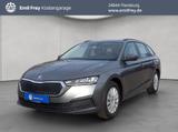 Skoda Octavia Combi 1.0 TSI Active Klima/LED/SmartLink - Skoda Octavia Active mit Benzin-Antrieb