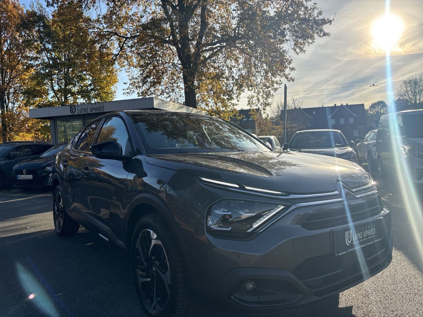 Fahrzeugabbildung Citroën C4 X PureTech 130 S&S EAT8 Shine HUD Navi Digita