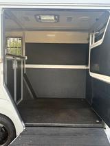 Renault Master 2020 STX Pferdewagen Horsetruck Pferde - Renault Master: Kleinbus