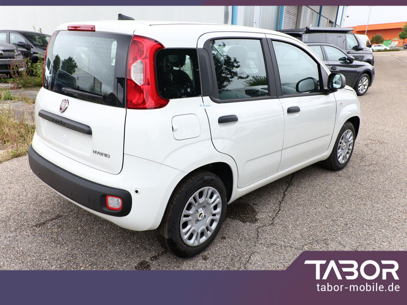 Fiat Panda - Bild 3
