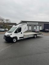 Fiat Ducato PKW Transporter 3,5t - PKW Transporter