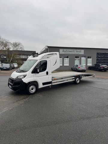 Fiat Ducato PKW Transporter 3,5t