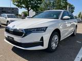 Skoda Octavia Combi 2,0 TDi DSG Selection AHK Lade Kam - Skoda Octavia Neuwagen mit Diesel-Antrieb