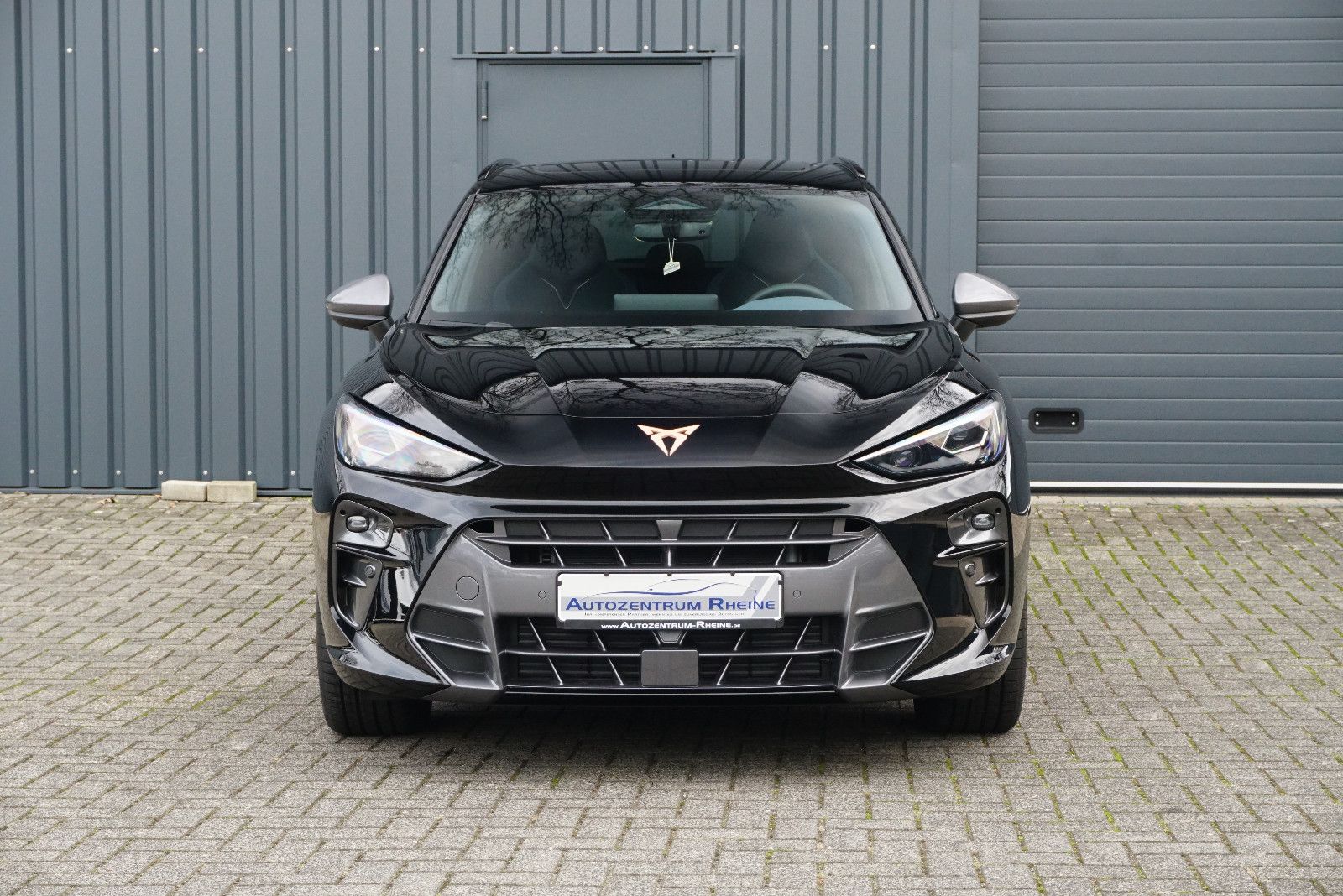 Cupra Terramar - Bild 2