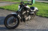 Harley-Davidson Nightster/Sportster XL1 - HARLEY-DAVIDSON 2008 NIGHTSTER