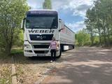MAN TGX 18.440 & Krone Auflieger  - Auflieger