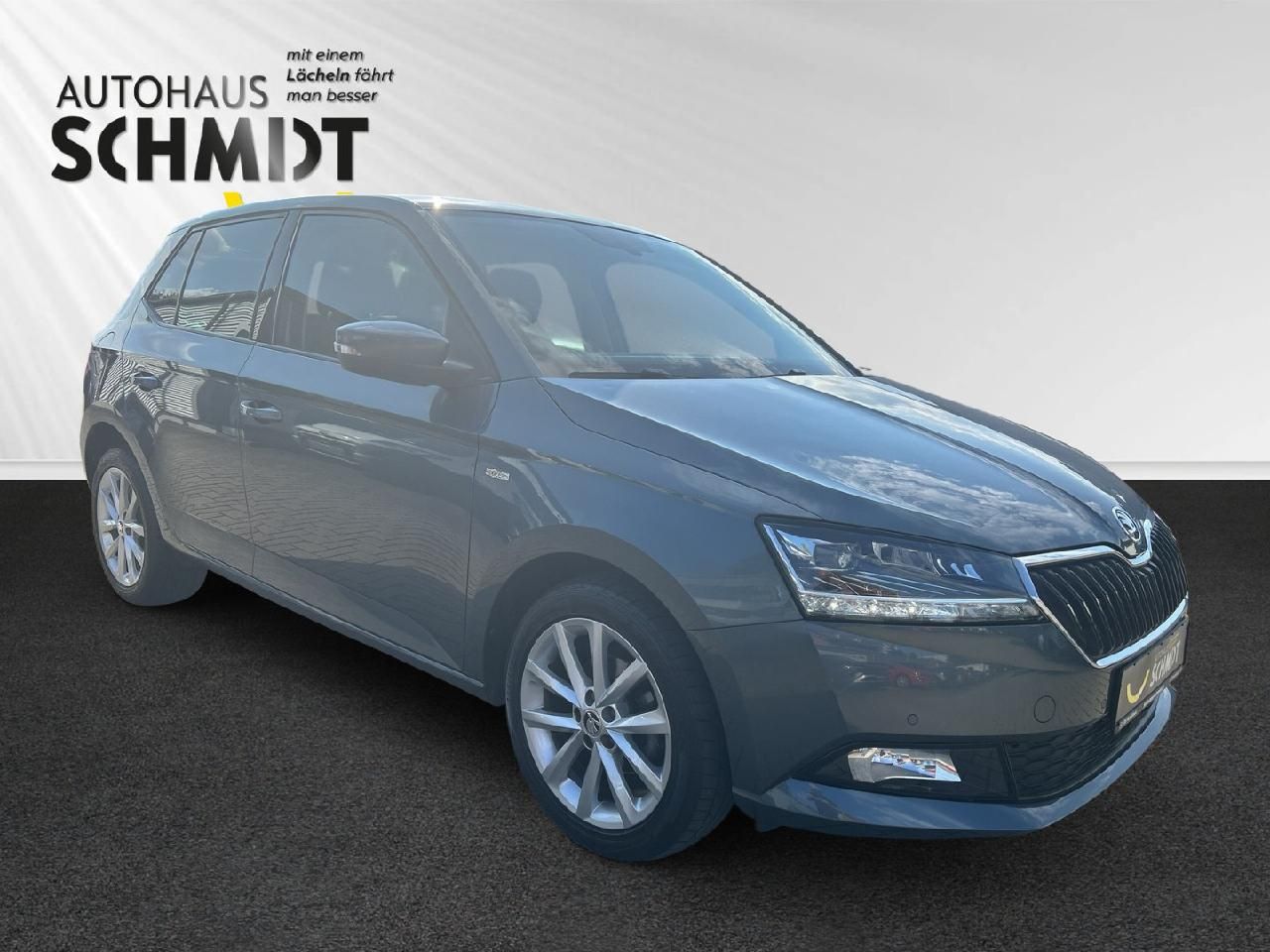 Fahrzeugabbildung SKODA Fabia Soleil
