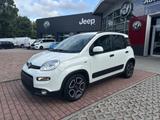 Fiat Panda City Life - Fiat Panda in Chemnitz