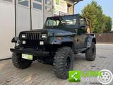 Jeep JEEP Wrangler 4.0 cat Hardtop Limited Iscritta A - gebrauchte Jeep Wrangler aus dem Jahr 1995