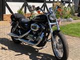 Harley-Davidson XL 1200 low - Angebote