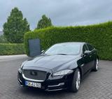 Jaguar XJ Premium Luxury 3.0 V6 Diesel Premium Luxury - Jaguar: 3.6
