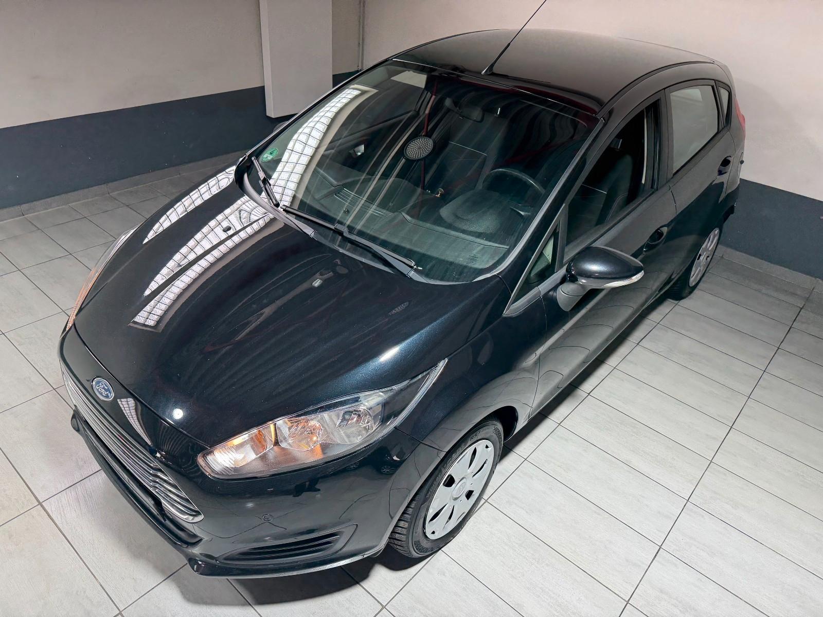 Ford Fiesta Edition Winterpaket USB PDC