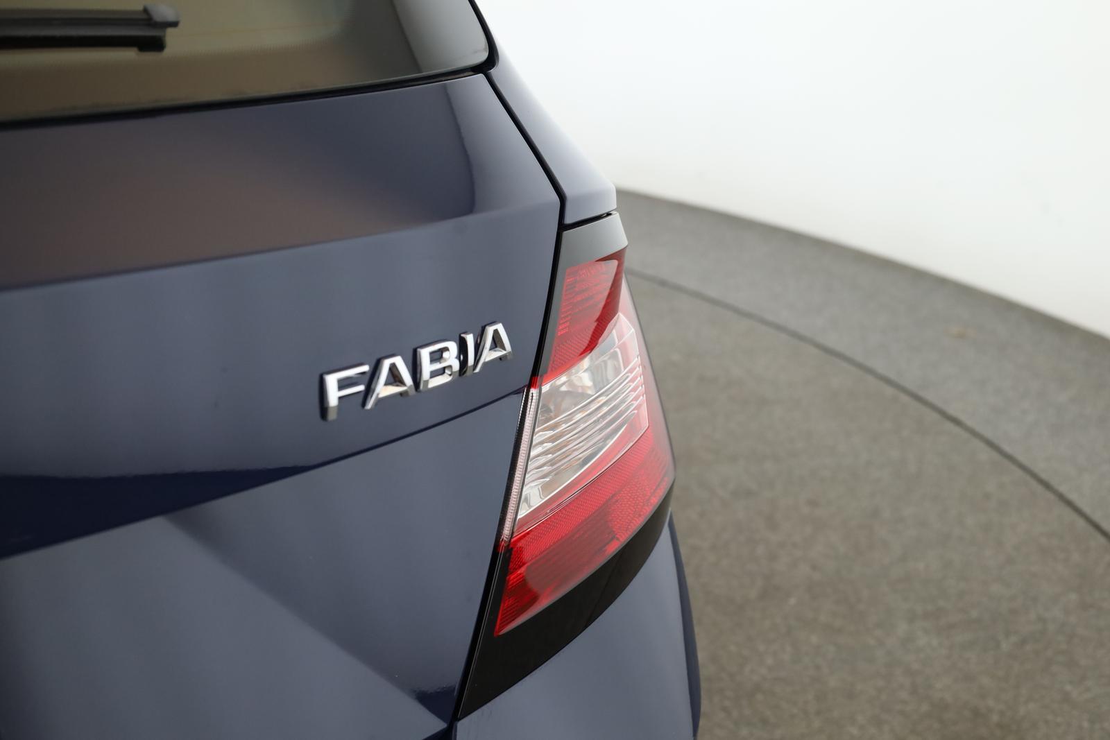 Skoda Fabia 1.0 TSI DSG Style Klima DAB SHZ ACC PDC 17