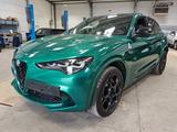 Alfa Romeo Stelvio Quadrifoglio Q4 Leder ACC 21" Panoramada - Alfa Romeo: Grün