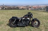Harley-Davidson Sportster Forty - Eight - HARLEY-DAVIDSON 2010 FORTY EIGHT