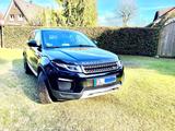 Andere Range Rover Evoque 2.0 Turbo Black Pack - Andere mit Benzin-Antrieb: Allradantrieb, Geländewagen