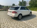 Mercedes-Benz ML 250 BlueTEC 4MATIC - - Mercedes-Benz ML 250 aus 2015