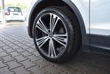 Seat Tarraco 2.0 TDI Xcellence 4Drive Standhzg 7-Sitz - gebrauchte Seat Tarraco aus dem Jahr 2019