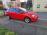 Fiat Punto 1.4 8V Start&Stopp - - Fiat Punto Start mit Benzin-Antrieb