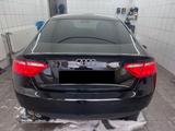 Audi A5 2.0 TDI 100kW ultra Sportback - - Audi A5 in Duisburg