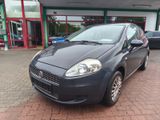 Fiat Grande Punto 1.4 8V Active - Fiat Grande Punto aus 2009