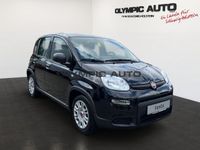 Fiat Panda 1.0 Hybrid Firefly KLIMAANLAGE CITY CRUISE - Image