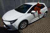 Toyota Corolla Comfort 1.Hand original 8.765 km! - Toyota Corolla mit Benzin-Antrieb: Limousine, 1.8