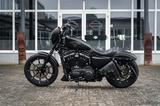 Harley-Davidson XL883N - Iron 883 Falcon Auspuff- Progressive Su - HARLEY-DAVIDSON IRON 883