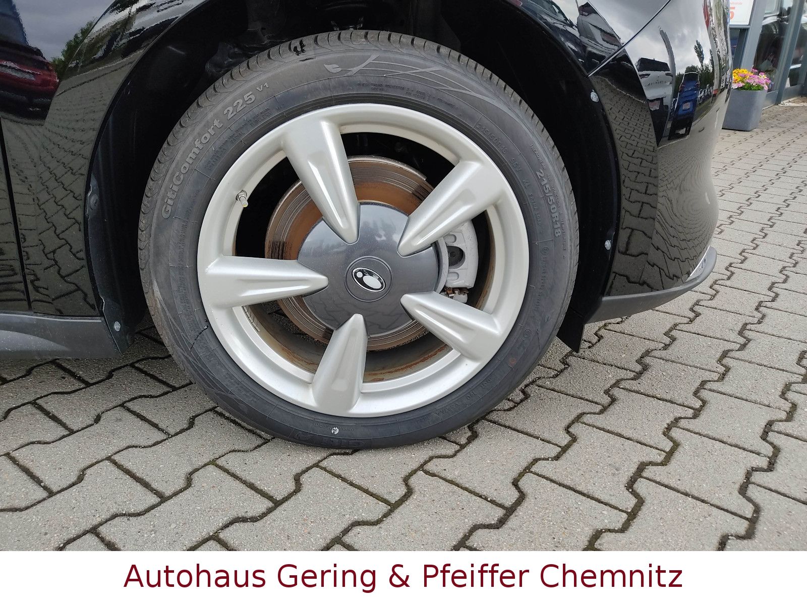 GWM Ora 03 - Bild 10