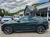 Alfa Romeo Stelvio 2.0 Veloce Q4 ACC Assist-Pkt CarPlay SHZ - Alfa Romeo: Grün