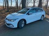 Volkswagen Golf 8 Variant 150 PS, weiß / AHK / Navi /... - Volkswagen Golf: Weis