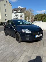 Fiat Punto 1.2 8V Dynamic Dynamic - Fiat Punto in Frankfurt (Main)