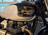 Triumph Scrambler 900 - TRIUMPH 900 SCRAMBLER