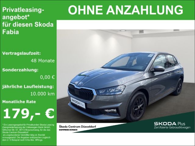 Skoda Fabia Selection Chrom-Paket Klimaanlage Einparkh