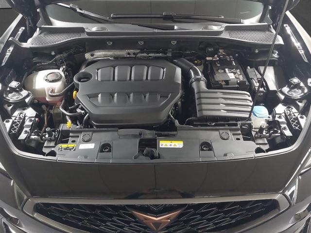 Cupra Formentor 2.0 TSI VZ+LED+NAVI+FULL LINK+PARKLENK, миниатюра 17