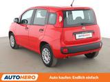 Fiat Panda 1.2 Easy*PDC*SHZ*KLIMA*GARANTIE* - Fiat Panda: Rot