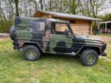 Mercedes-Benz G 250 Wolf - Mercedes-Benz G 250: Wolf