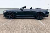 Ford Mustang Cabrio Automatik Shelby 22*Zoll - Ford Mustang Gebrauchtwagen in Frankfurt