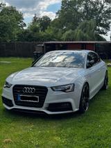 Audi  A5 Sportback 3.0 TDI quattro | 245 PS | S-L